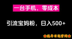 一台手机,零成本引流宝妈粉,日入500+-流年日记