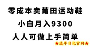 零成本卖莆田运动鞋，小白月入9300，人人可做上手简单【揭秘】-流年日记
