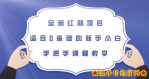 全新红利项目,适合0基础的新手小白,手把手课程教学【揭秘】-流年日记