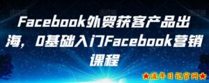 Facebook外贸获客产品出海,0基础入门Facebook营销课程-流年日记