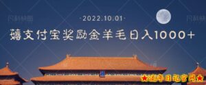 一部手机薅支付奖励金宝羊毛轻松日入1000+-流年日记