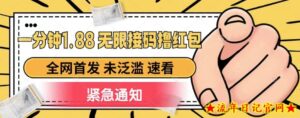 一分钟1.88无限接码撸红包，全网首发 未泛滥 无套路-流年日记