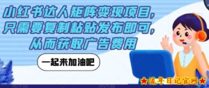 小红书达人矩阵变现项目，只需要复制粘贴发布即可，从而获取广告费用-流年日记