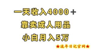 一天收入4000+，靠卖成人用品，小白轻松月入5万【揭秘】-流年日记