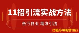 精准引流术:11招引流实战方法,让你私域流量加到爆(11节课完整)-流年日记