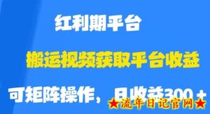 搬运视频获取平台收益,平台红利期,附保姆级教程【揭秘】-流年日记