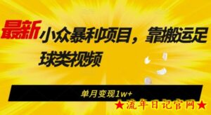 最新小众暴利项目，靠搬运足球类视频，单月变现1w+-流年日记