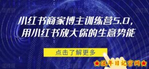 小红书商家博主训练营5.0,用小红书放大你的生意势能-流年日记