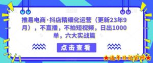 推易电商·抖店精细化运营（更新23年9月），不直播，不拍短视频，日出1000单，六大实战篇-流年日记