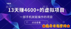 13天赚了4600+的虚拟项目,一部手机就能操作(附配套资源)-流年日记