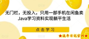 无门栏,无投入,只用一部手机在闲鱼卖Java学习资料实现躺平生活【揭秘】-流年日记