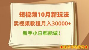 短视频10月新玩法,卖视频教程月入30000+,新手小白都能做-流年日记