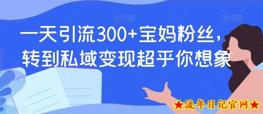 一天引流300+宝妈粉丝，转到私域变现超乎你想象-流年日记