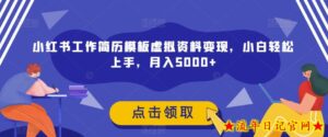 小红书工作简历模板虚拟资料变现,小白轻松上手,月入5000+-流年日记