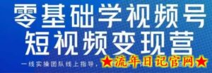 0基础学视频号短视频变现,适合新人学习的短视频变现课-流年日记