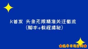 K首发头条无限精准关注截流(脚本+教程揭秘)-流年日记