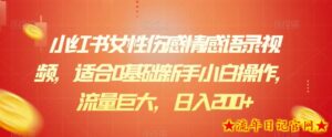 小红书女性伤感情感语录视频,适合0基础新手小白操作,流量巨大,日入200+-流年日记