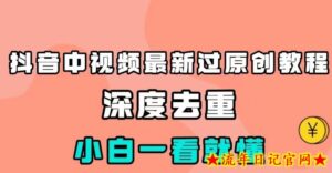 抖音中视频最新过原创教程,深度去重,小白一看就懂【揭秘】-流年日记