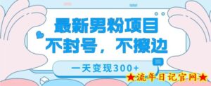 最新男粉变现,不擦边,不封号,日入300+-流年日记