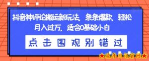 抖音神评论搬运新玩法,条条爆款,轻松月入过万,适合0基础小白【揭秘】-流年日记