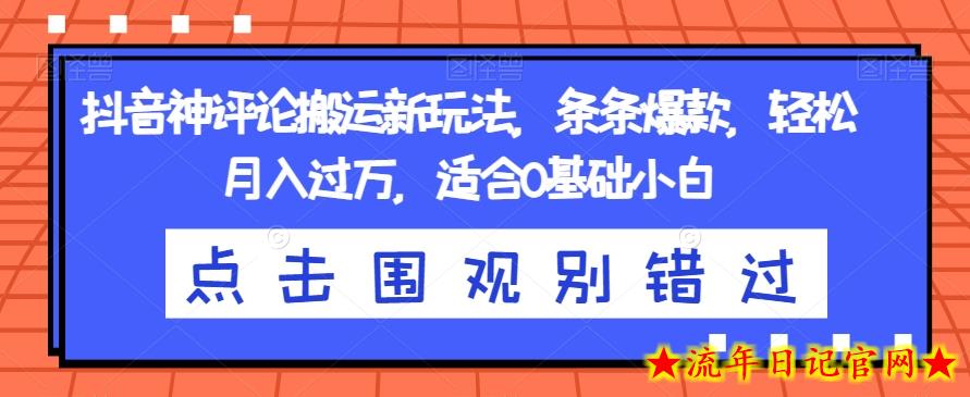 抖音神评论搬运新玩法，条条爆款，轻松月入过万，适合0基础小白【揭秘】-流年日记