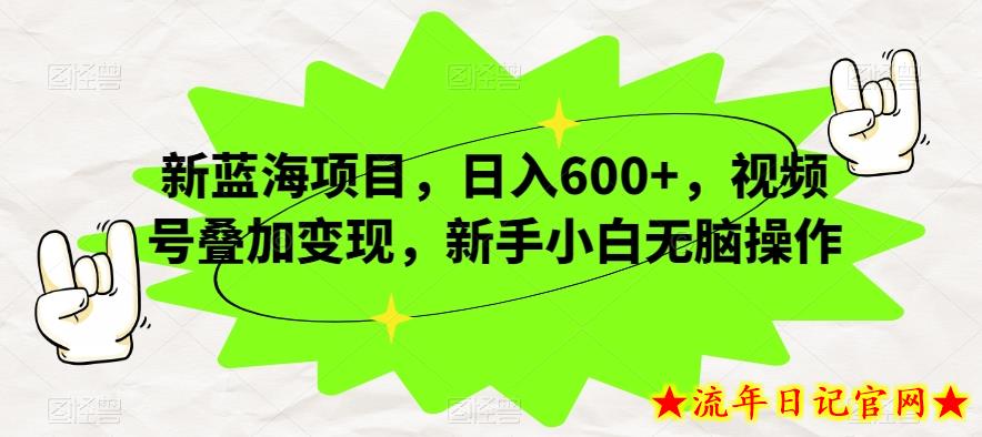 新蓝海项目，日入600+，视频号叠加变现，新手小白无脑操作【揭秘】-流年日记