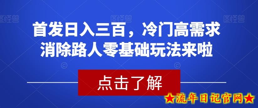 首发日入三百，冷门高需求消除路人零基础玩法来啦【揭秘】-流年日记