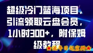 超级冷门蓝海项目,引流领取云盘会员,1小时300+,附保姆级教程-流年日记