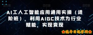 AI工人工智能应用通用实操(进阶班),利用AIGC技术为行业赋能,实现变现-流年日记
