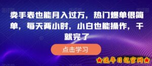 卖手表也能月入过万,热门爆单很简单,每天两小时,小白也能操作,干就完了-流年日记