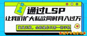 通过LSP让我们扩大私欲同时月入过万,童叟无欺,全程操作只需一部手机-流年日记
