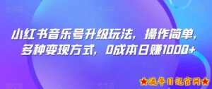 小红书音乐号升级玩法,操作简单,多种变现方式,0成本日赚1000+-流年日记