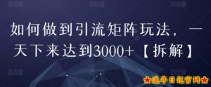 如何做到引流矩阵玩法,一天下来达到3000+【拆解】-流年日记