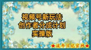 视频号新玩法,创作者分成计划,实操版-流年日记