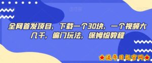 全网首发项目,下载一个30块,一个视频大几千,偏门玩法,保姆级教程-流年日记