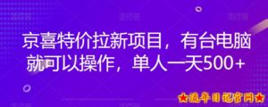 京喜特价拉新新玩法,有台电脑就可以操作,单人一天500+【揭秘】-流年日记