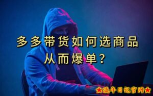多多视频带货选什么商品链接才能爆单,10分钟教会你,爆单不是浮云【揭秘】-流年日记