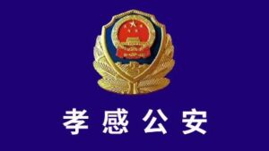 孝感公安又抓获一名拼拼有礼涉嫌组织，领导传销活动的犯罪嫌疑人-流年日记