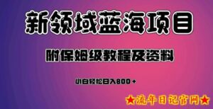 虚拟资源蓝海领域新项目,轻松日入800+,附保姆级教程及资料-流年日记