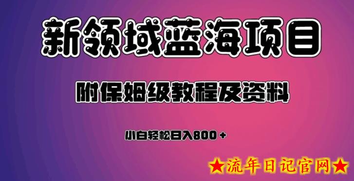 虚拟资源蓝海领域新项目，轻松日入800＋，附保姆级教程及资料-流年日记