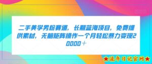 二手美学男粉赛道,长期蓝海项目,无脑矩阵操作一个月轻松暴力变现20000+-流年日记