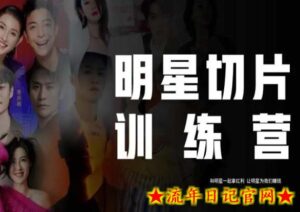 王子·明星切片线上训练营(2023),和明星一起拿红利,让明星为我们赚钱-流年日记