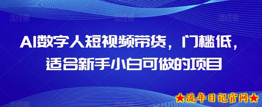 AI数字人短视频带货，门槛低，适合新手小白可做的项目-流年日记