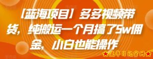 【蓝海项目】多多视频带货,纯搬运一个月搞了5w佣金,小白也能操作【揭秘】-流年日记
