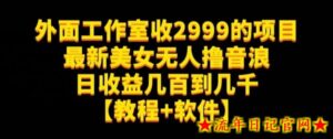 外面工作室收2999的项目最新美女无人撸音浪日收益几百到几千【教程+软件】(仅揭秘)-流年日记