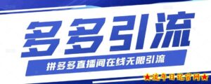 【全网首发】拼多多直播间实时无限引流(附脚本视频教程)-流年日记