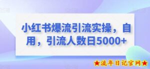 小红书爆流引流实操,自用,引流人数日5000+-流年日记