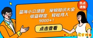 蓝海小众项目，宠物知识大全，收益稳定，轻松月入9000+！-流年日记
