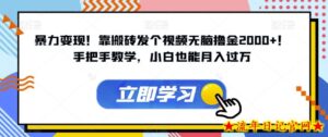 暴力变现!靠搬砖发个视频无脑撸金2000+!手把手教学,小白也能月入过万【揭秘】-流年日记