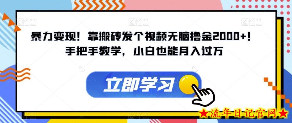 暴力变现！靠搬砖发个视频无脑撸金2000+！手把手教学，小白也能月入过万【揭秘】-流年日记